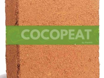 Cocopeat For plants