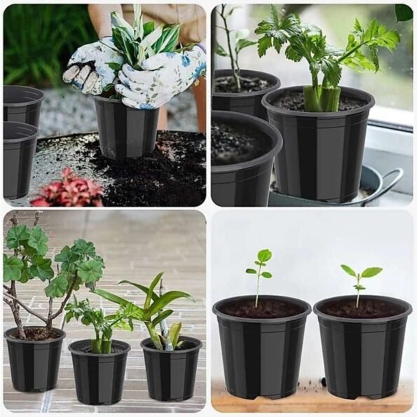 5 Inch Nursery Pots A Beautiful Addition to Your Home Garden pack 10