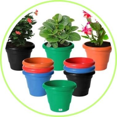 plants pots