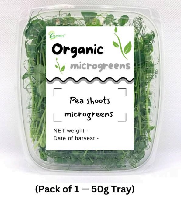 Fresh Pea Shoots Microgreens – 50g | Sweet & Crisp | 100% Organic