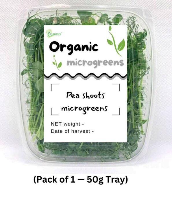 Fresh Pea Shoots Microgreens – 50g | Sweet & Crisp | 100% Organic
