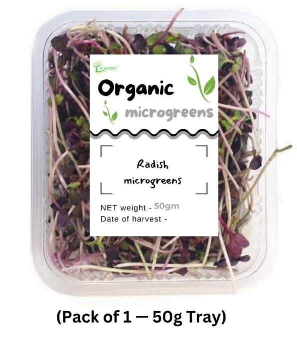 Fresh Radish Microgreens – 50g | Spicy & Nutritious | 100% Organic