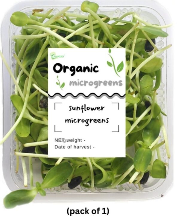 Sunflower Microgreens – 100% Fresh & Healthy | Plantsfy