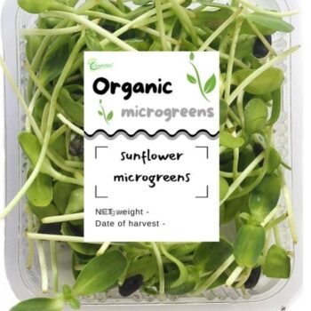 Sunflower Microgreens – 100% Fresh & Healthy | Plantsfy