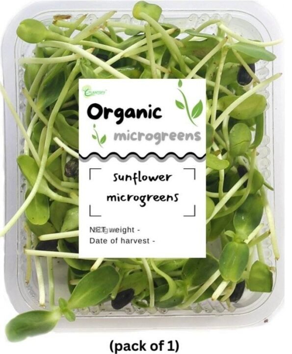 Sunflower Microgreens – 100% Fresh & Healthy | Plantsfy