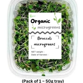 Fresh Microgreens (pack of 4 variety)– 50g | Sweet & Crisp | 100% Organic