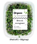 Broccoli Microgreens – Nutrient-Packed Superfood by Plantsfy