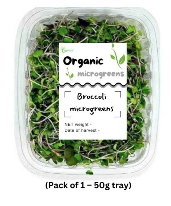 Broccoli microgreens for sale – Fresh, healthy, and nutrient-packed microgreens by Plantsfy