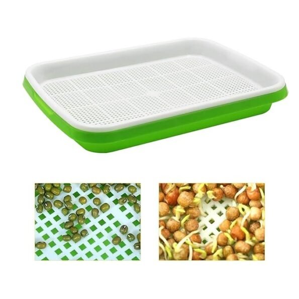 Microgreens Growing Tray | 2-Layer Hydroponic Sprouter Tray for Kitchen Gardening (Pack of 2)