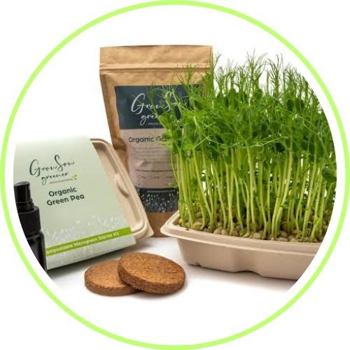 Microgreens Kits